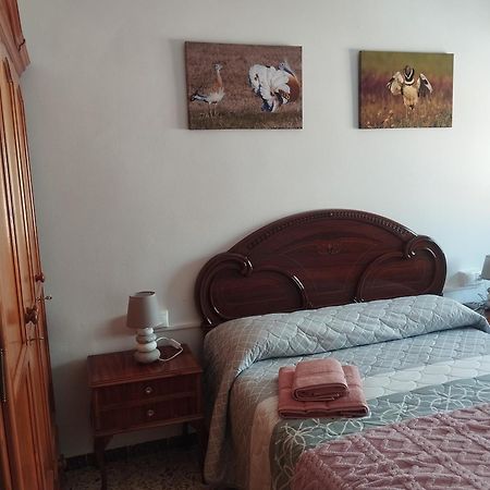 Apartamento Las Fuentes Сьерра-де-Фуэнтес Экстерьер фото